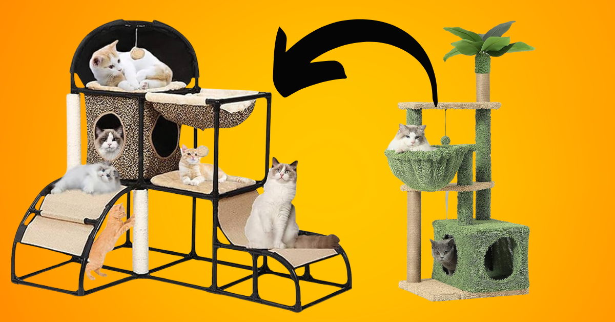 What to Look for in a Quality Cat Tree with Hammock